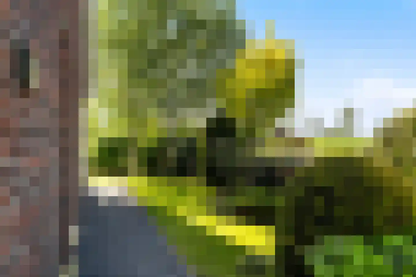 Wûnsstelling 39 Makkum thumbnail 55