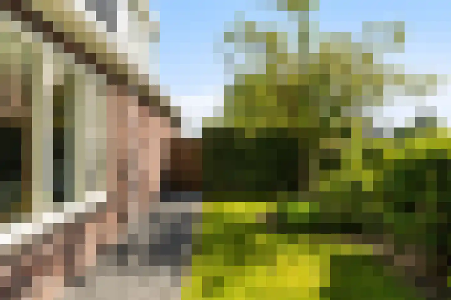 Wûnsstelling 39 Makkum thumbnail 56