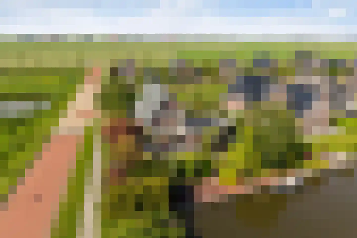 Wûnsstelling 39 Makkum thumbnail 57