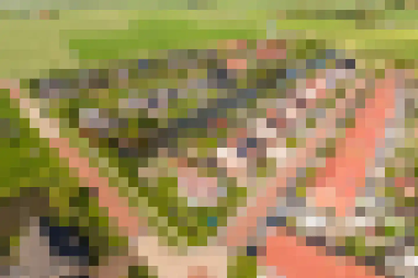 Wûnsstelling 39 Makkum thumbnail 59