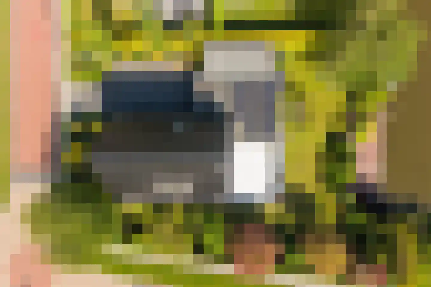 Wûnsstelling 39 Makkum thumbnail 60
