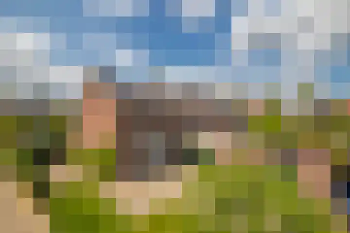 Wurfbainlaan 10 Rheden foto 2