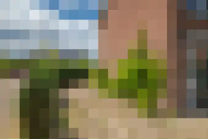 Wurfbainlaan 10 Rheden thumbnail 25