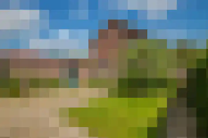 Wurfbainlaan 10 Rheden thumbnail 27