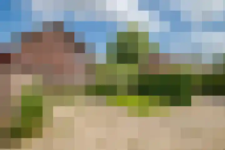 Wurfbainlaan 10 Rheden thumbnail 28
