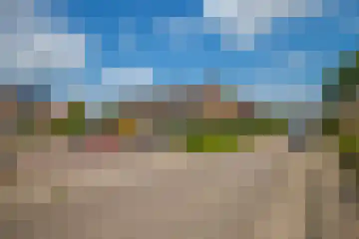 Wurfbainlaan 10 Rheden thumbnail 32
