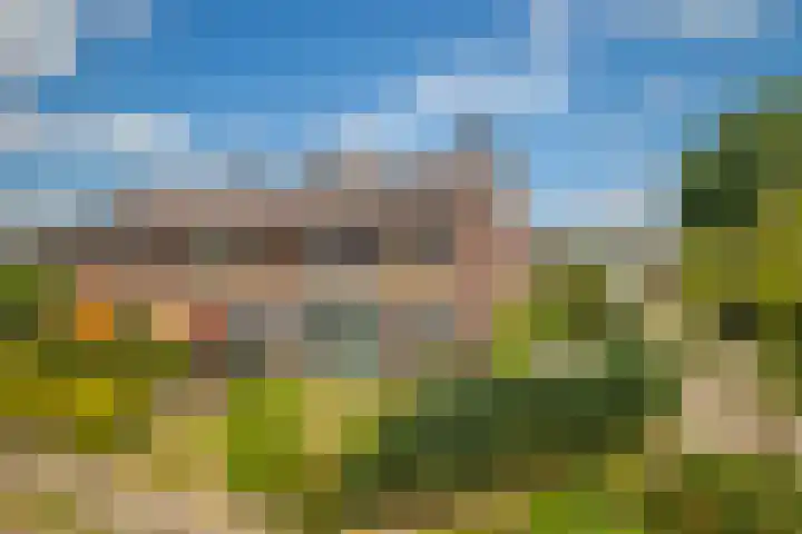 Wurfbainlaan 10 Rheden thumbnail 42