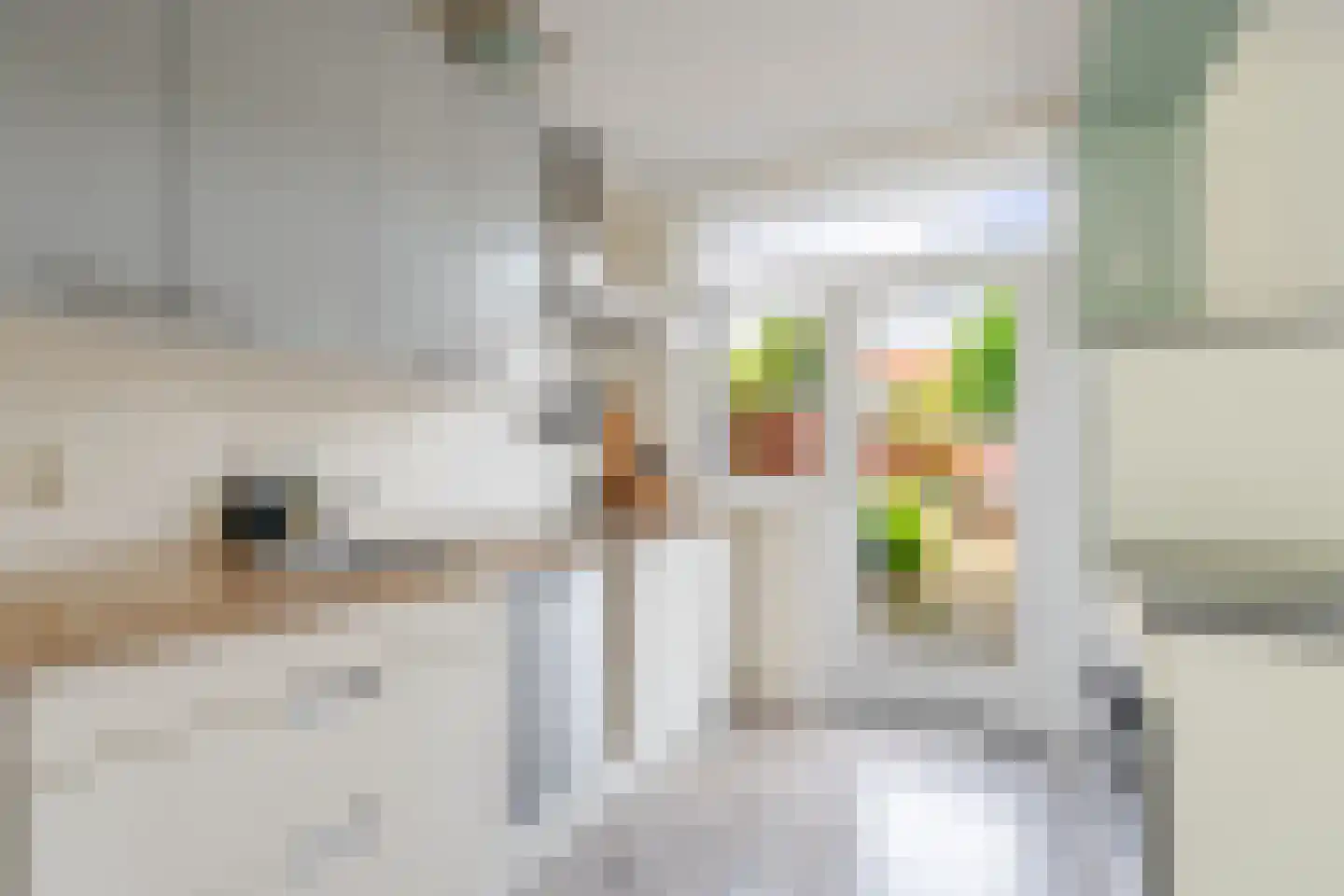 Wurfbainlaan 4 Rheden thumbnail 11