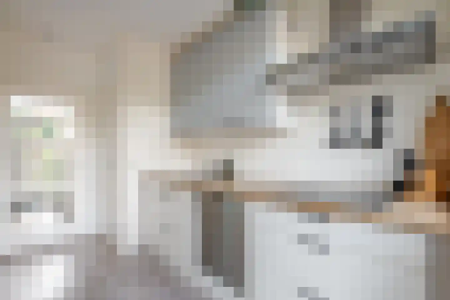 Wurfbainlaan 4 Rheden thumbnail 12
