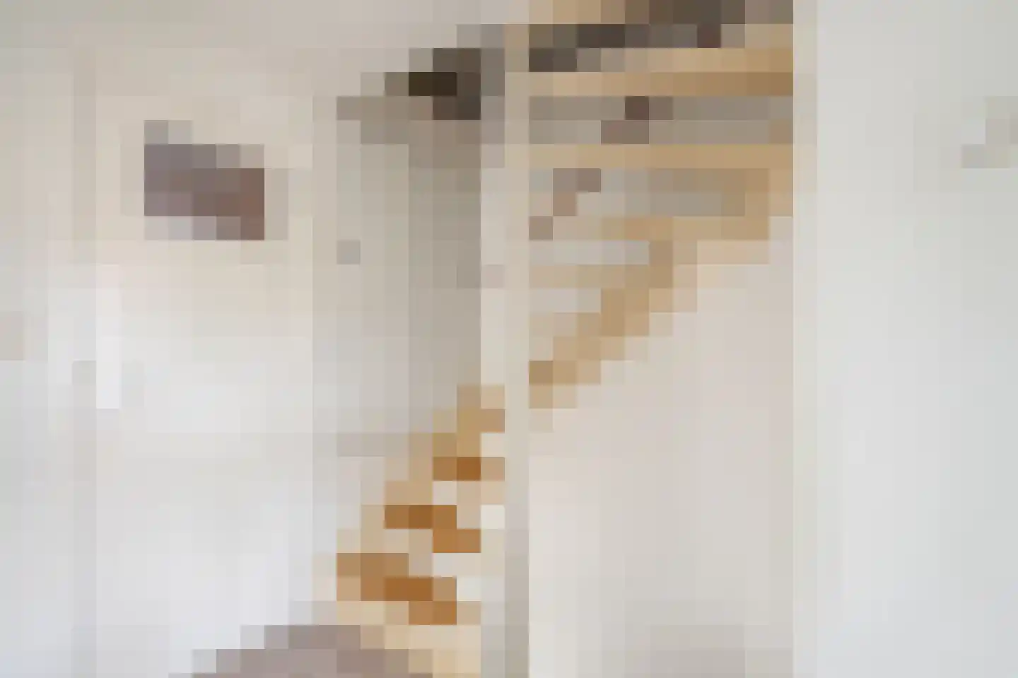 Wurfbainlaan 4 Rheden thumbnail 21