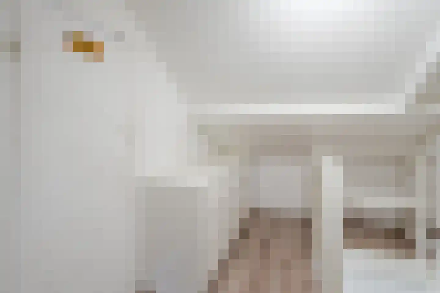 Wurfbainlaan 4 Rheden thumbnail 23