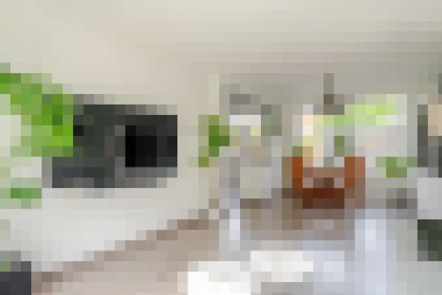 Wurfbainlaan 4 Rheden thumbnail 7
