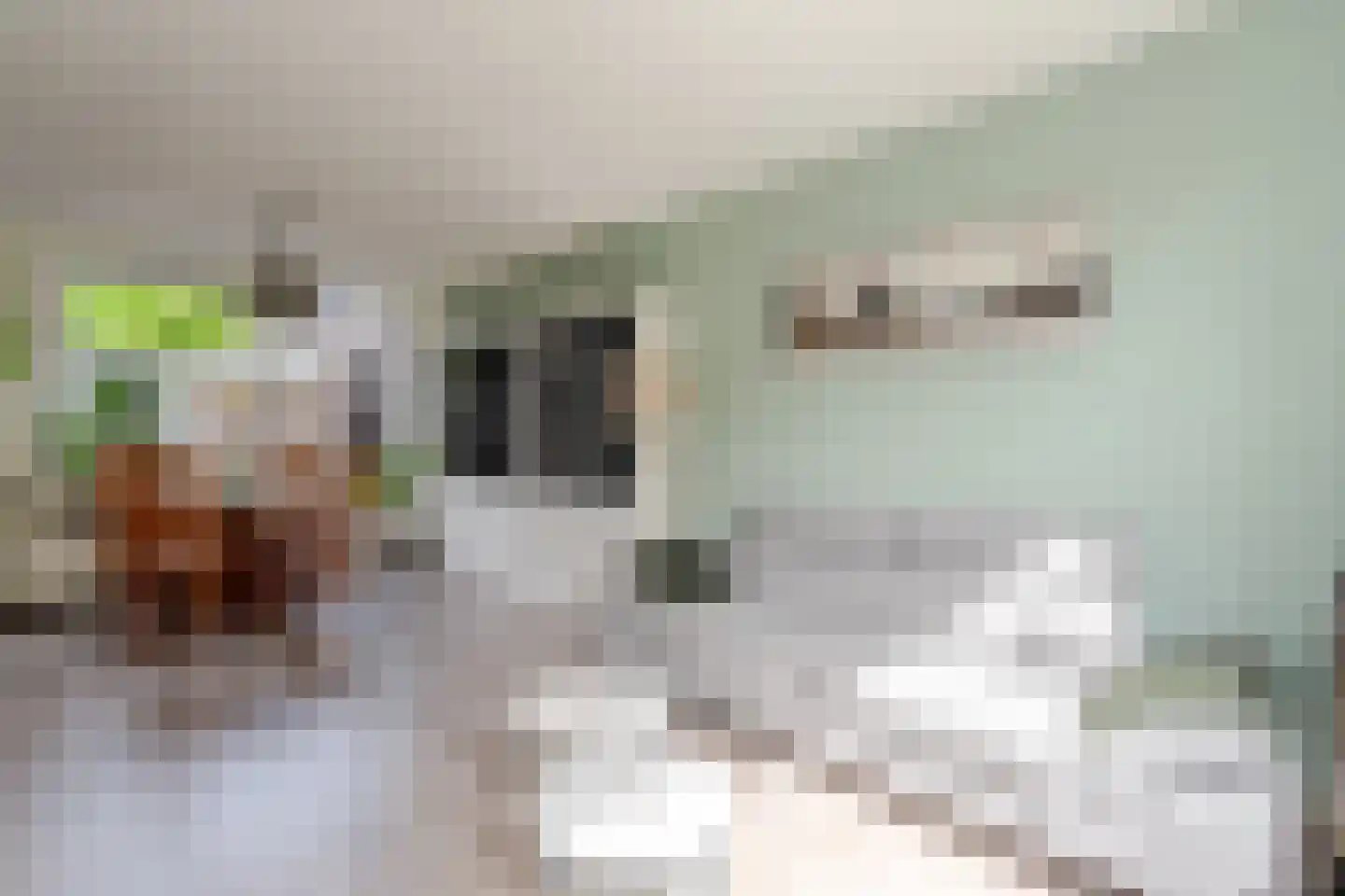 Wurfbainlaan 4 Rheden thumbnail 8