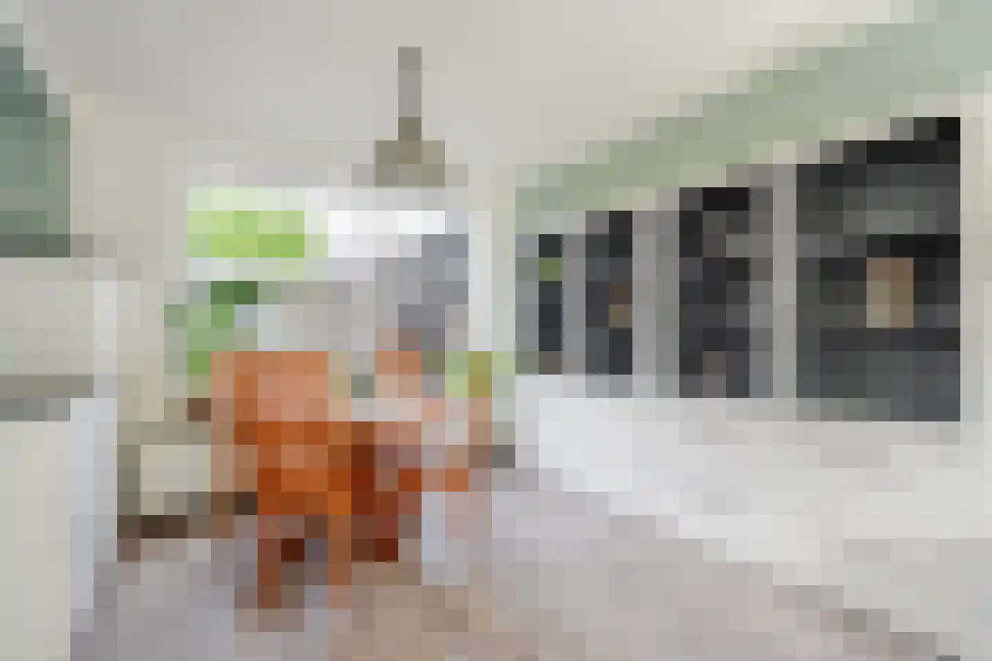 Wurfbainlaan 4 Rheden thumbnail 9