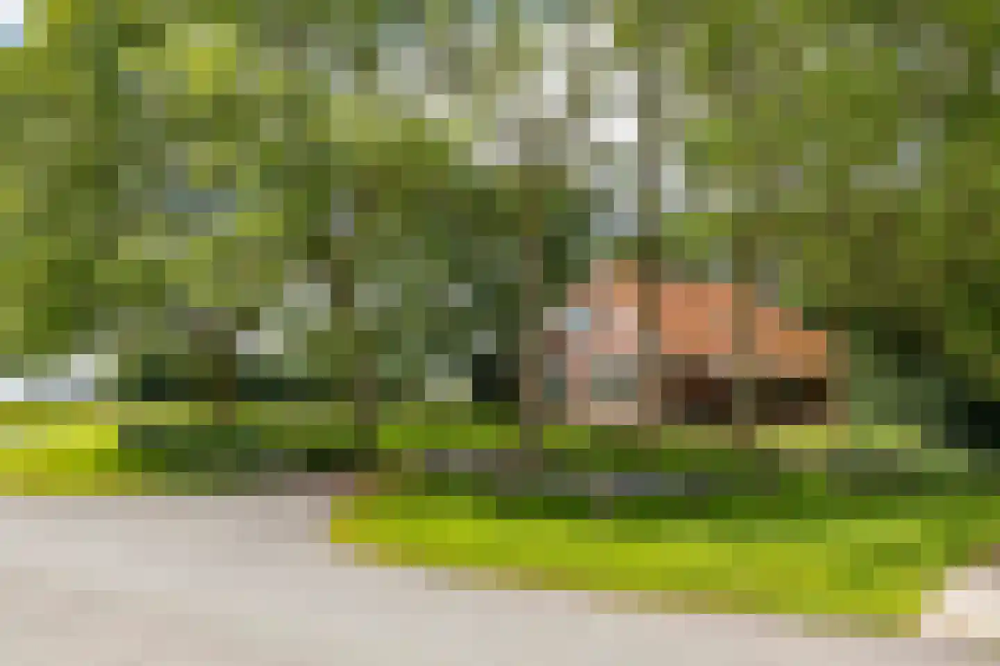 Wurgedyk 17 Stiens thumbnail 10