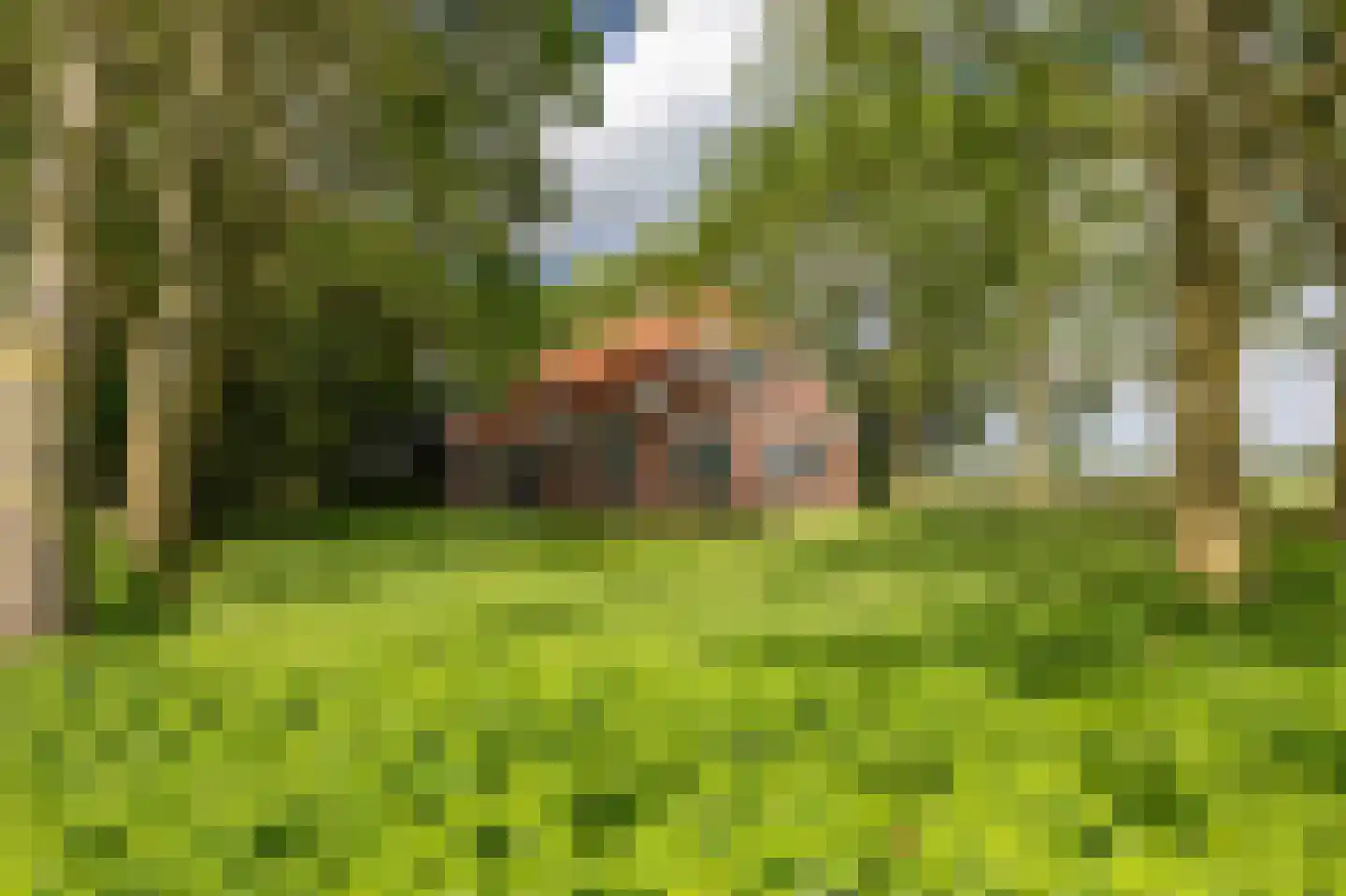 Wurgedyk 17 Stiens thumbnail 11