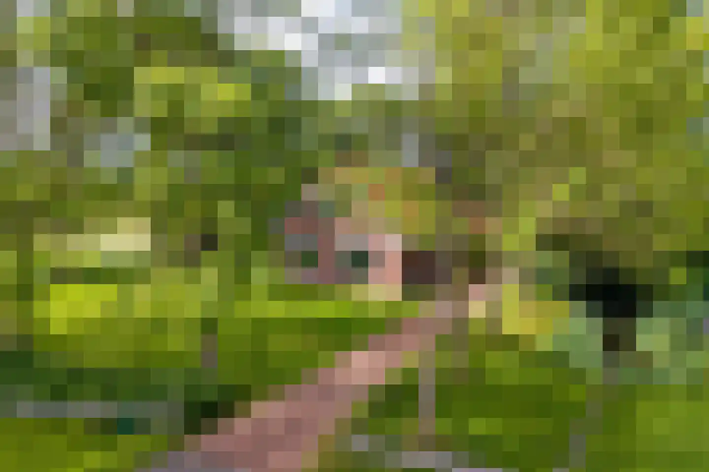 Wurgedyk 17 Stiens thumbnail 12