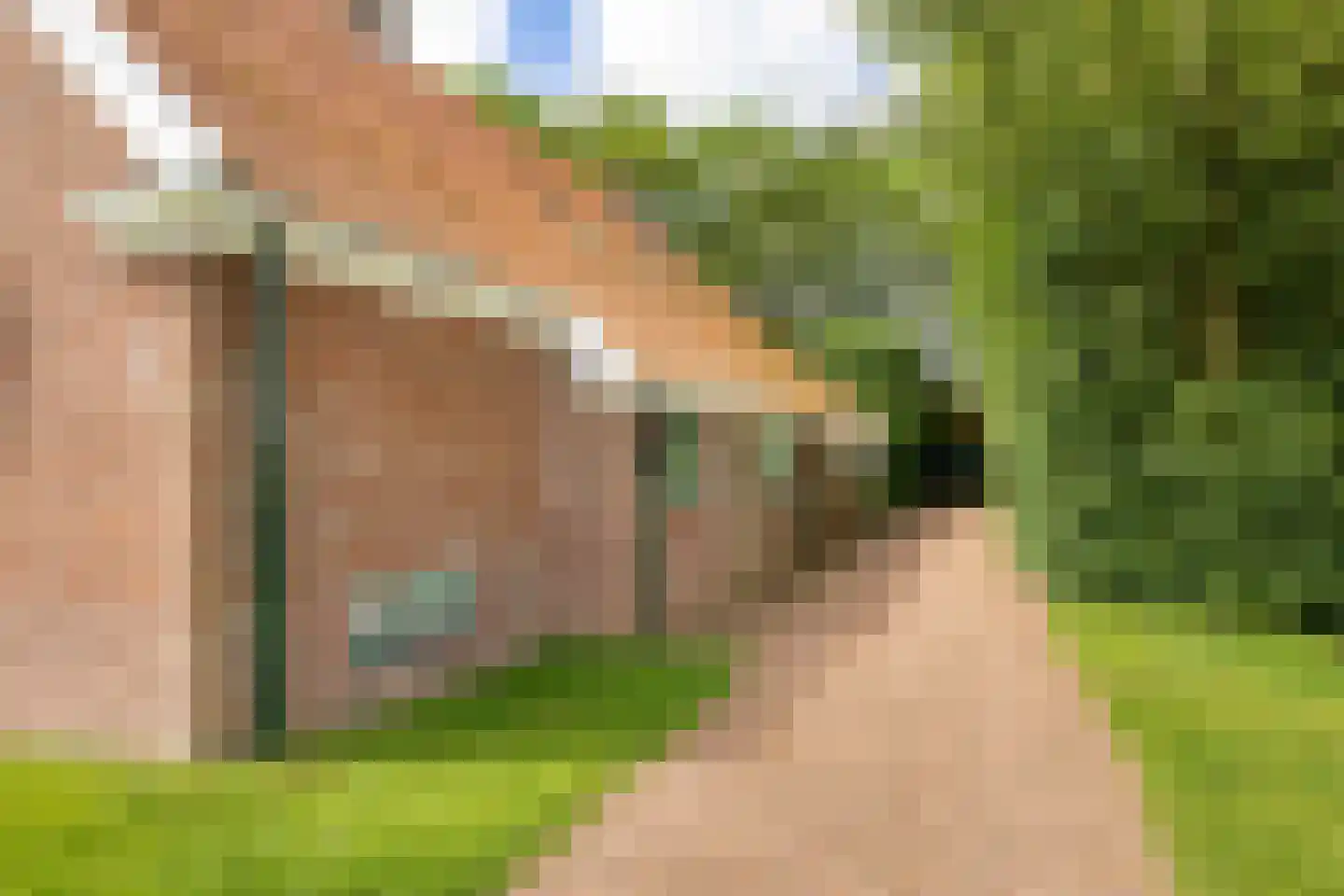 Wurgedyk 17 Stiens thumbnail 14