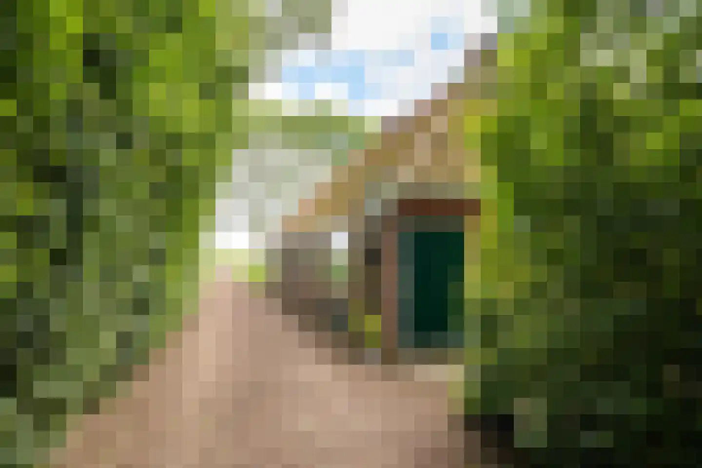 Wurgedyk 17 Stiens thumbnail 15