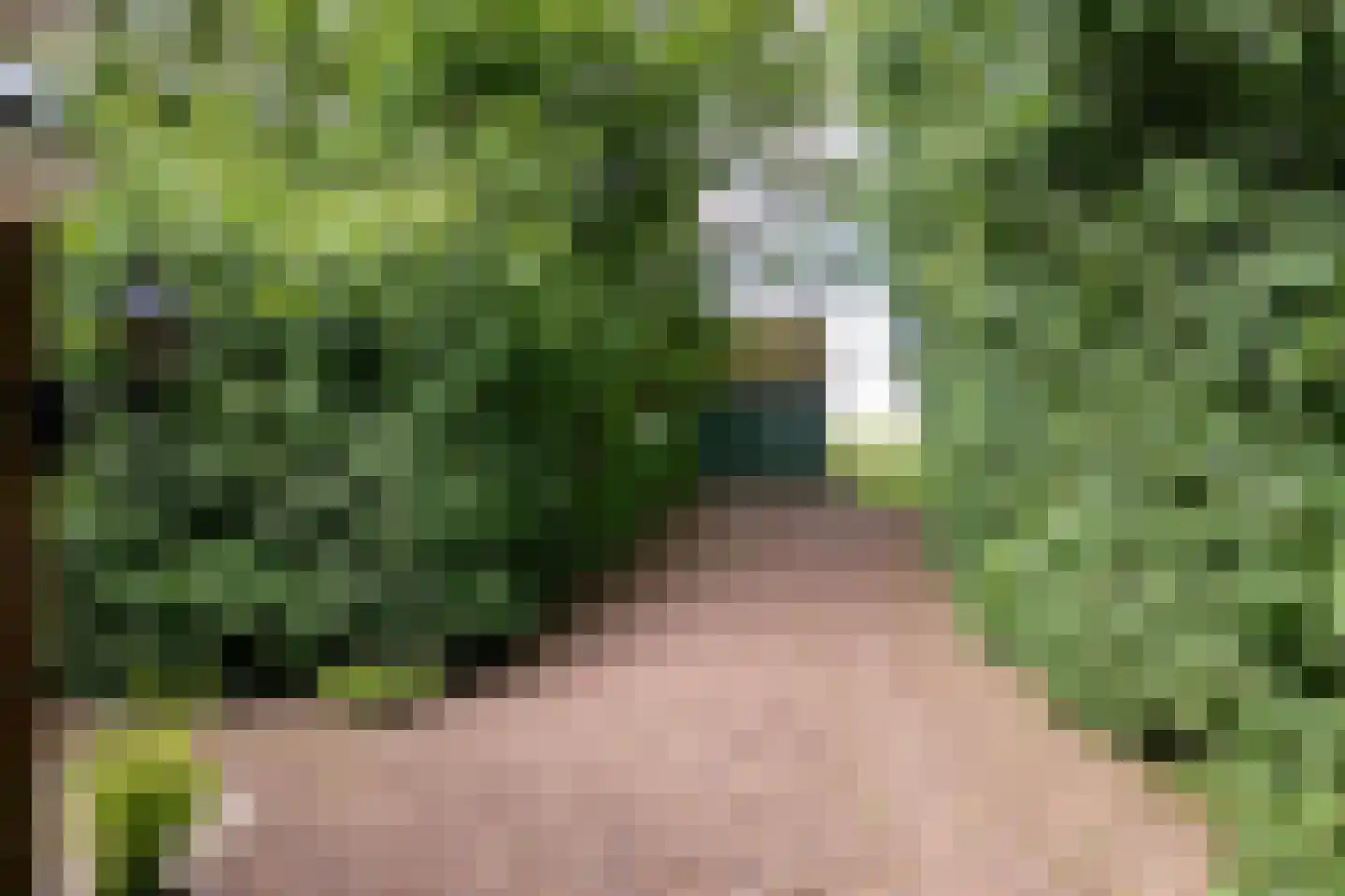 Wurgedyk 17 Stiens thumbnail 16