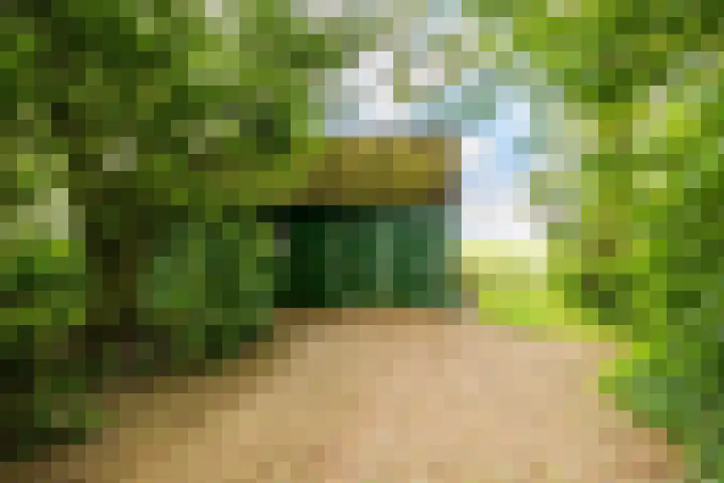 Wurgedyk 17 Stiens thumbnail 17