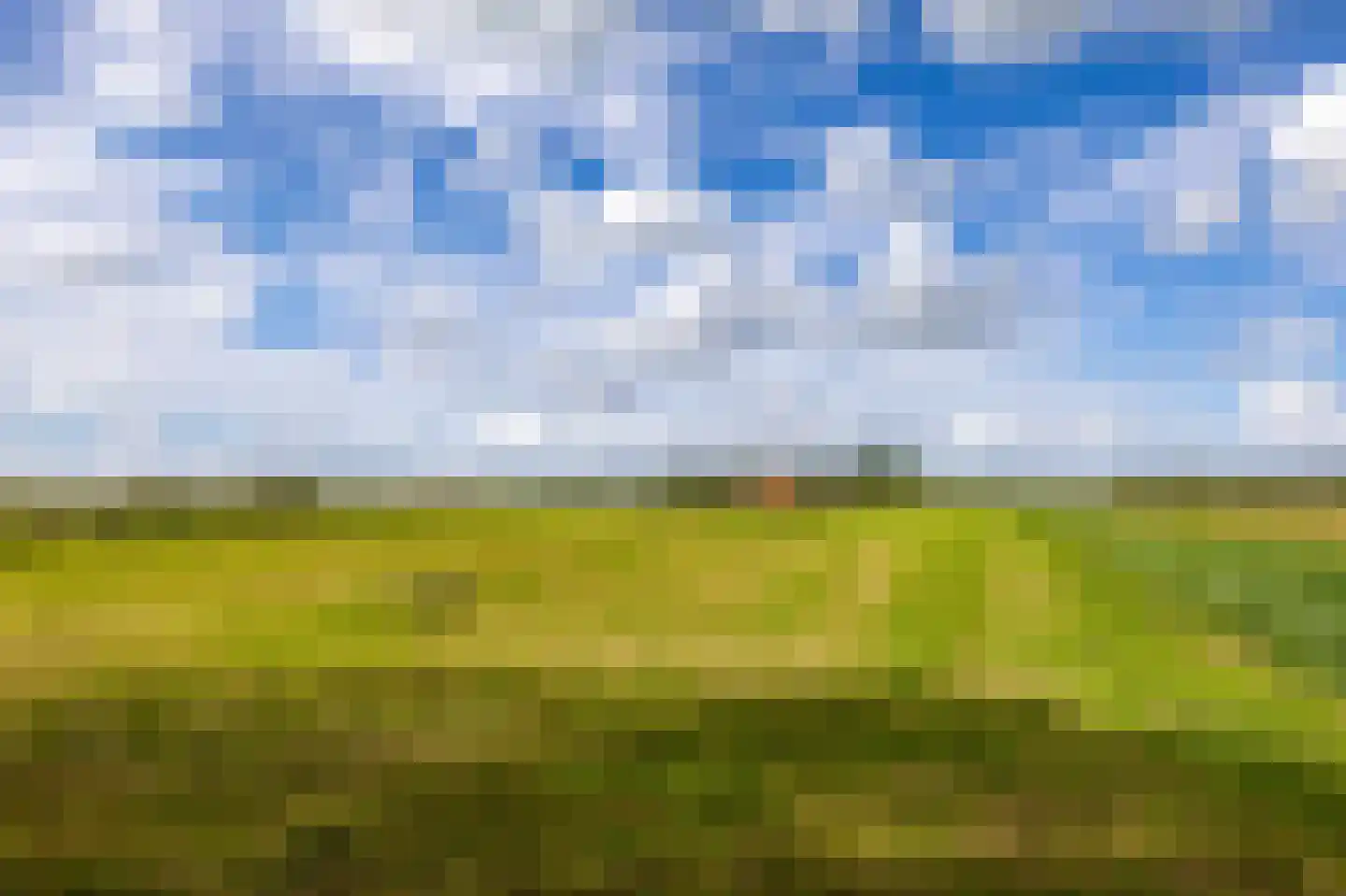 Wurgedyk 17 Stiens thumbnail 18