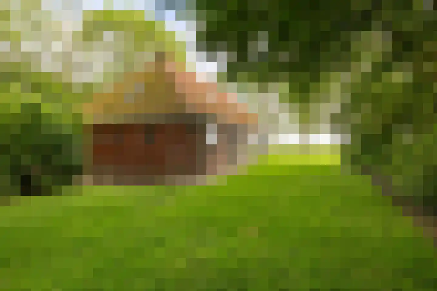 Wurgedyk 17 Stiens thumbnail 19