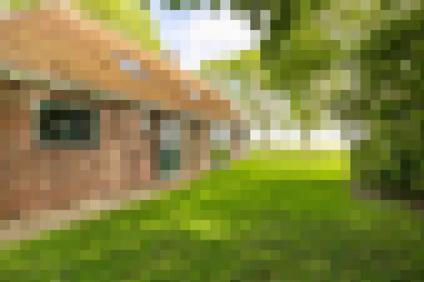 Wurgedyk 17 Stiens thumbnail 20
