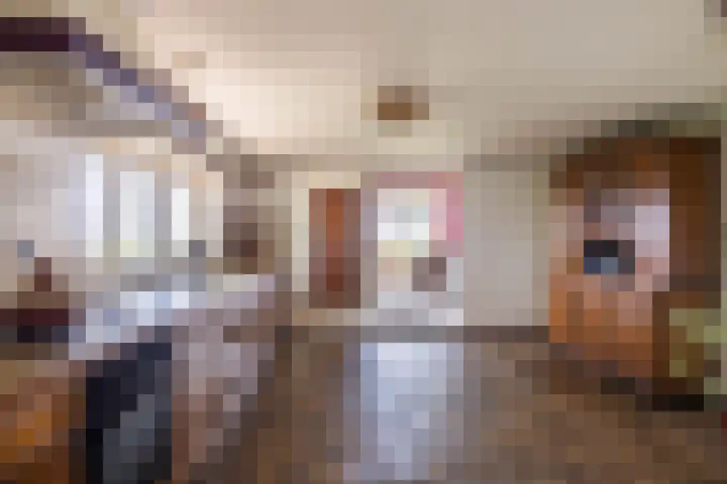 Wurgedyk 17 Stiens thumbnail 31