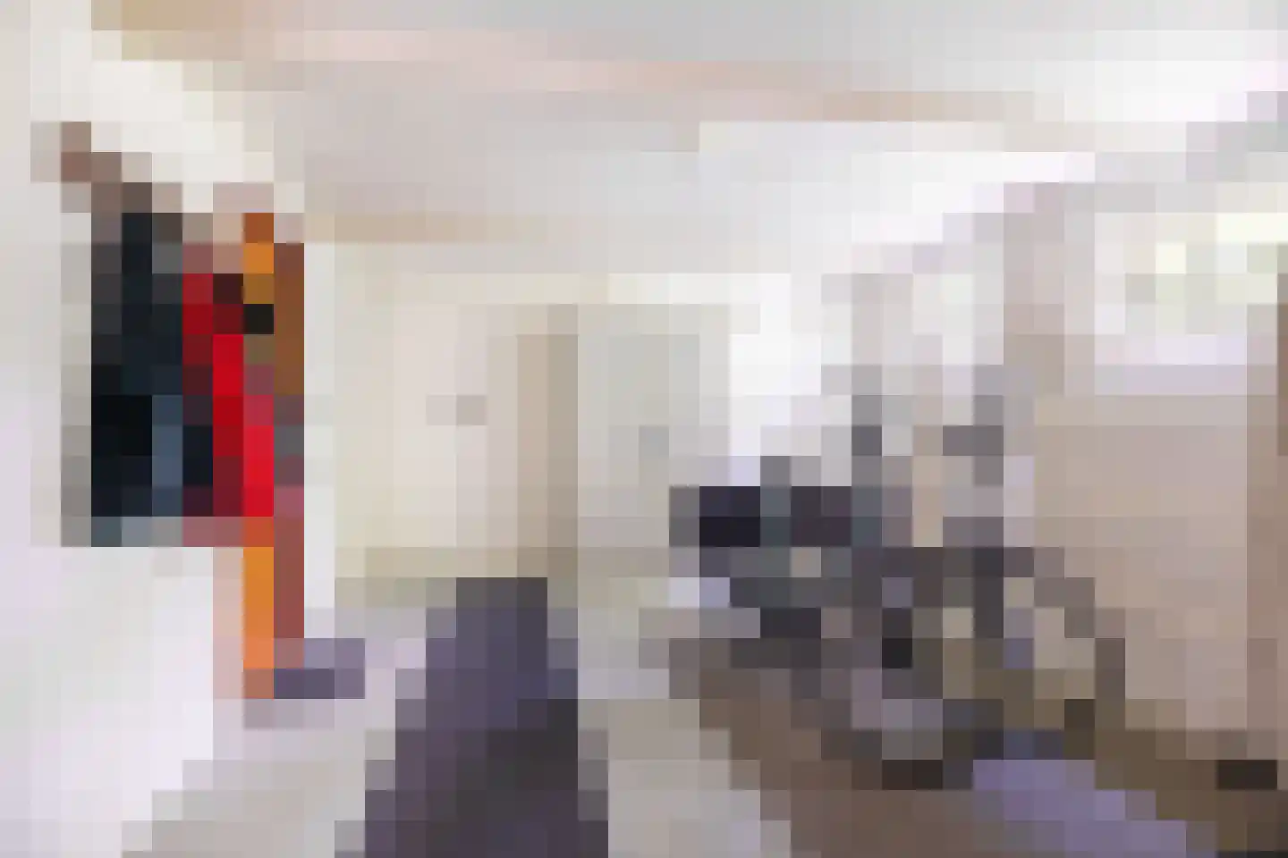 Wurgedyk 17 Stiens thumbnail 50