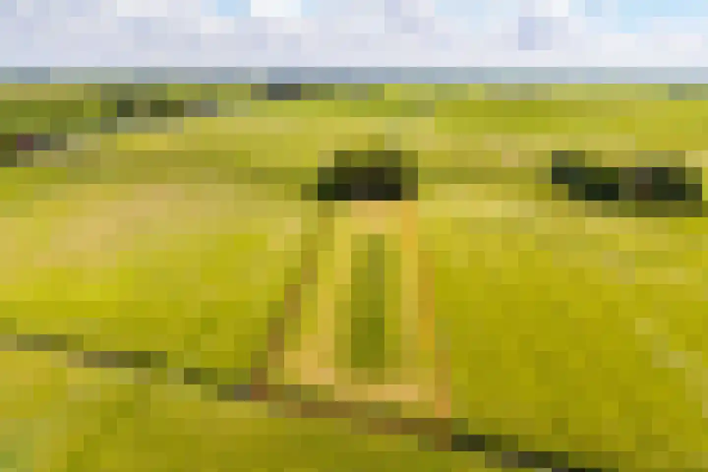 Wurgedyk 17 Stiens thumbnail 6