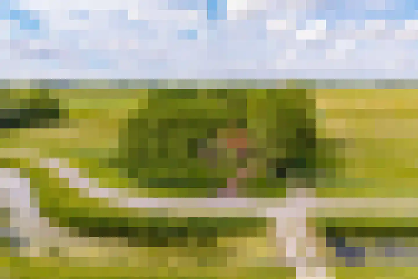 Wurgedyk 17 Stiens thumbnail 71