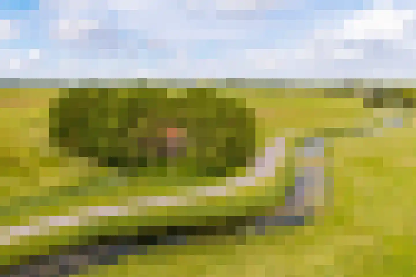 Wurgedyk 17 Stiens thumbnail 72