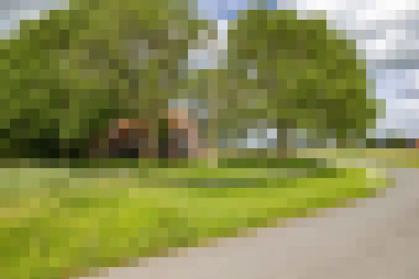 Wurgedyk 17 Stiens thumbnail 9