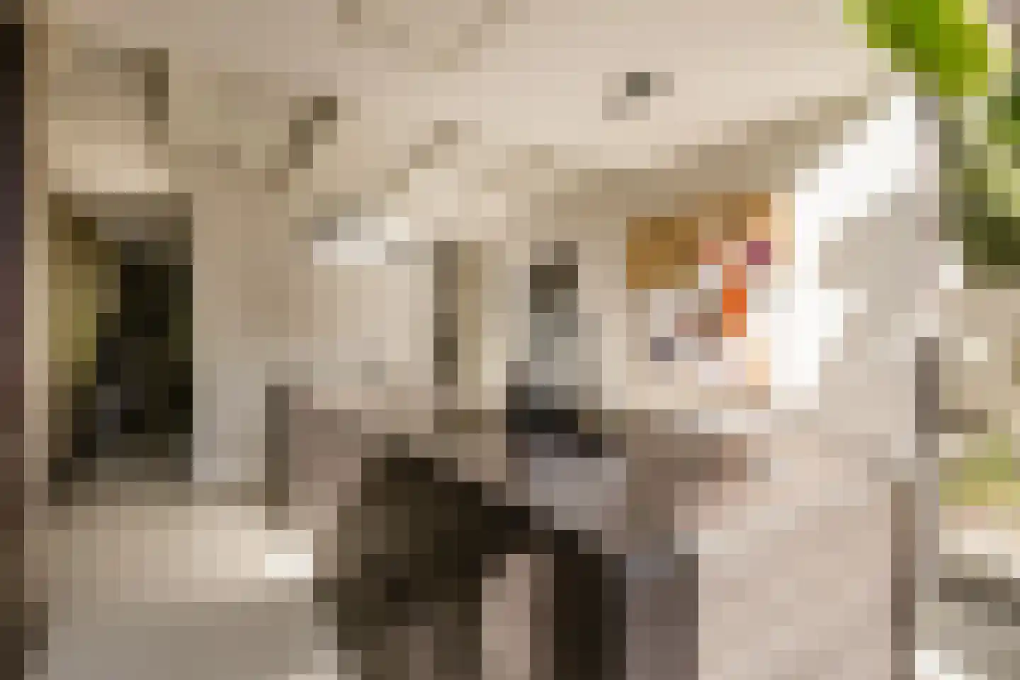 Wüstelaan 28 Santpoort-Zuid thumbnail 19