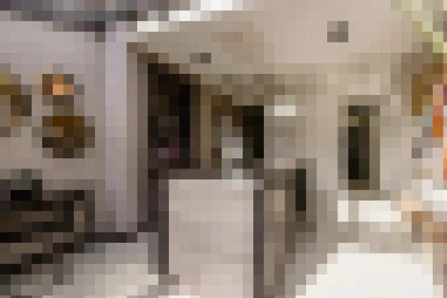 Wüstelaan 28 Santpoort-Zuid thumbnail 20