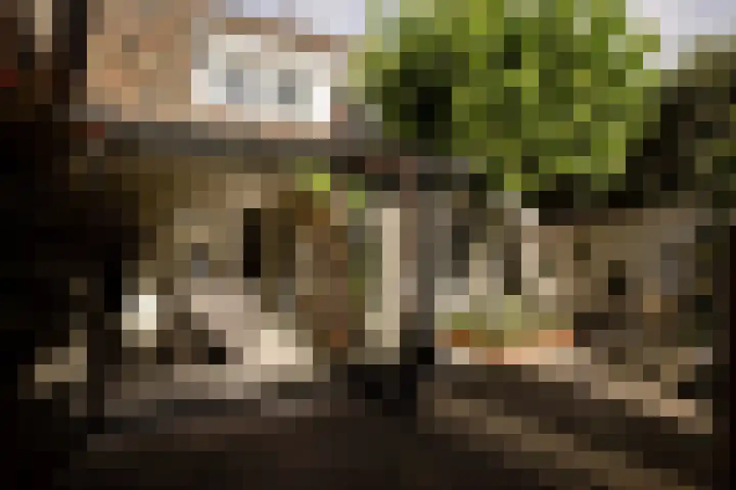 Wüstelaan 28 Santpoort-Zuid thumbnail 25