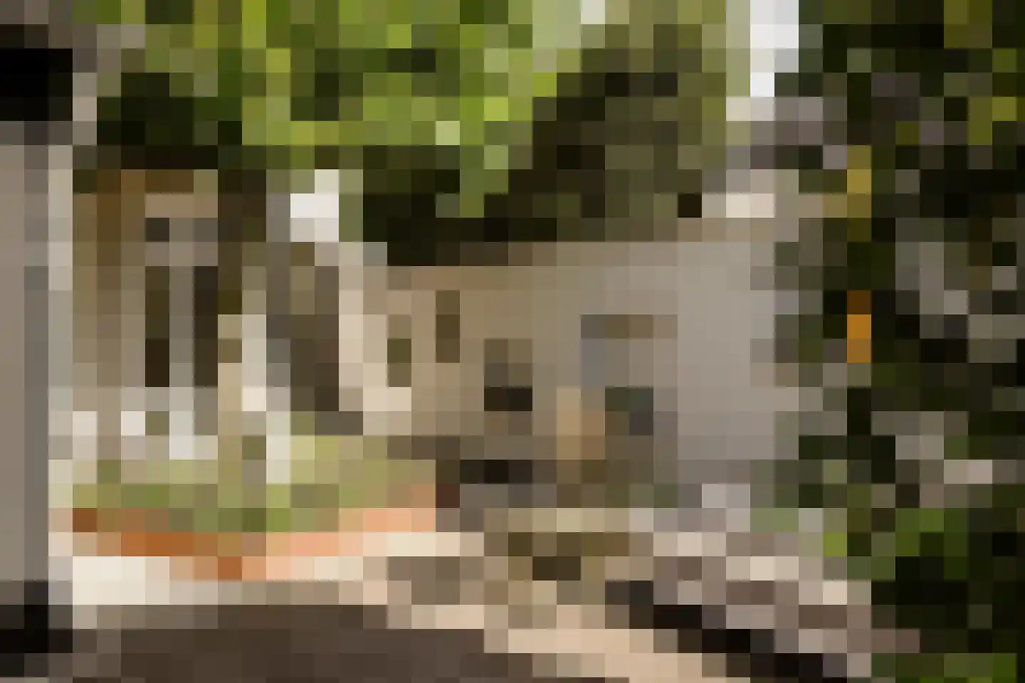 Wüstelaan 28 Santpoort-Zuid thumbnail 27