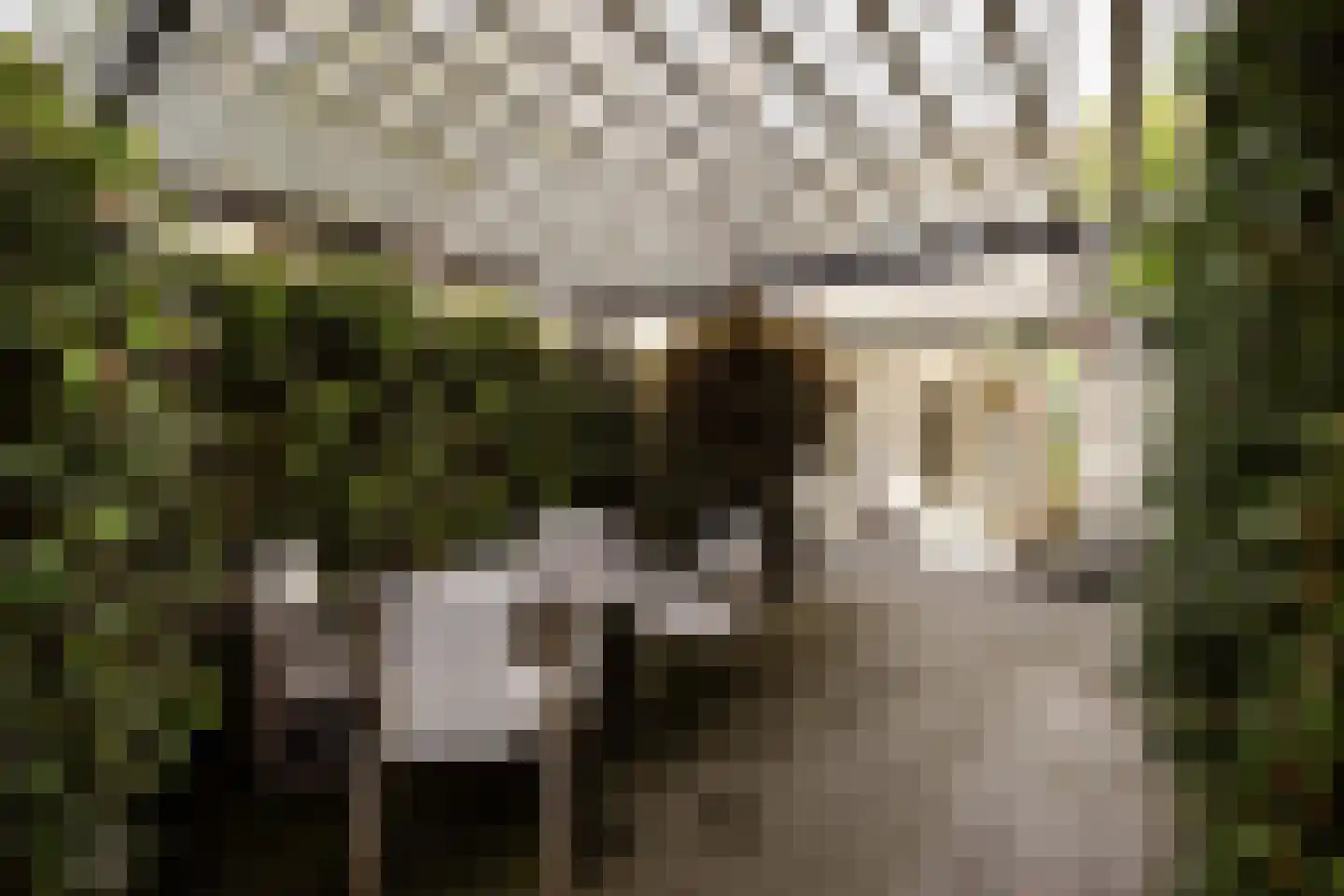 Wüstelaan 28 Santpoort-Zuid thumbnail 30