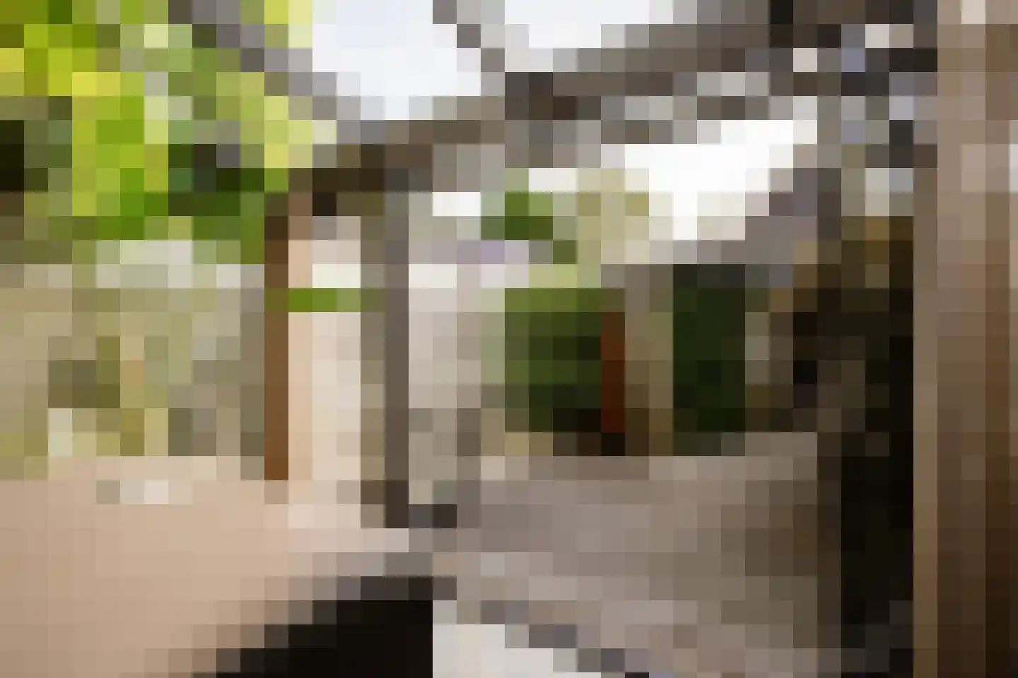 Wüstelaan 28 Santpoort-Zuid thumbnail 31