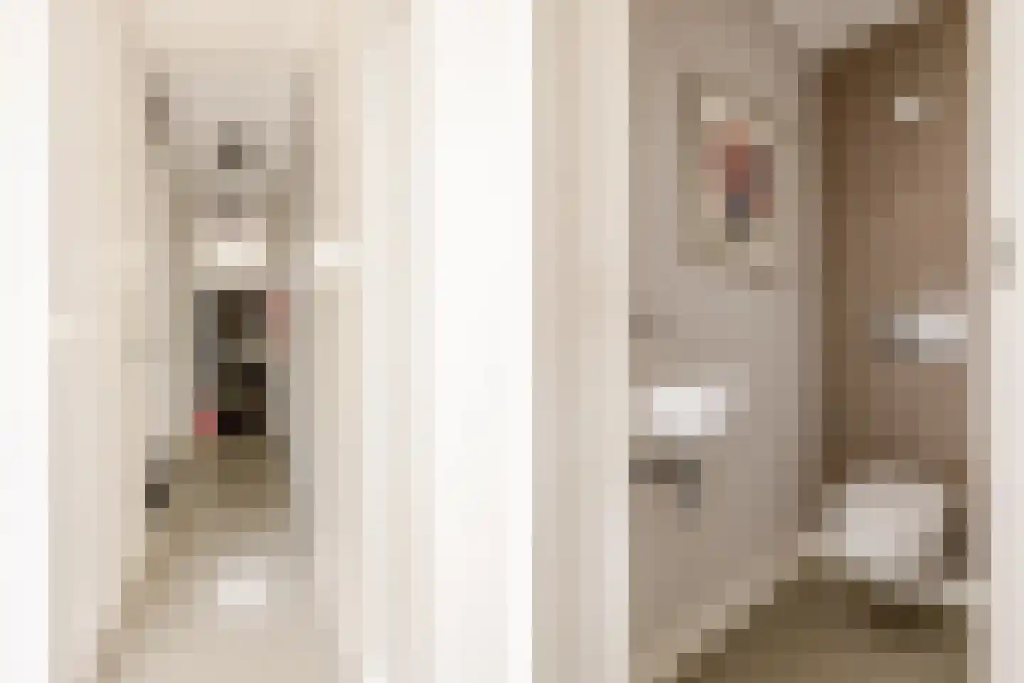 Wüstelaan 28 Santpoort-Zuid thumbnail 33