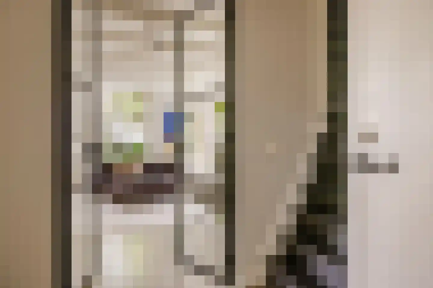 Wüstelaan 28 Santpoort-Zuid thumbnail 4