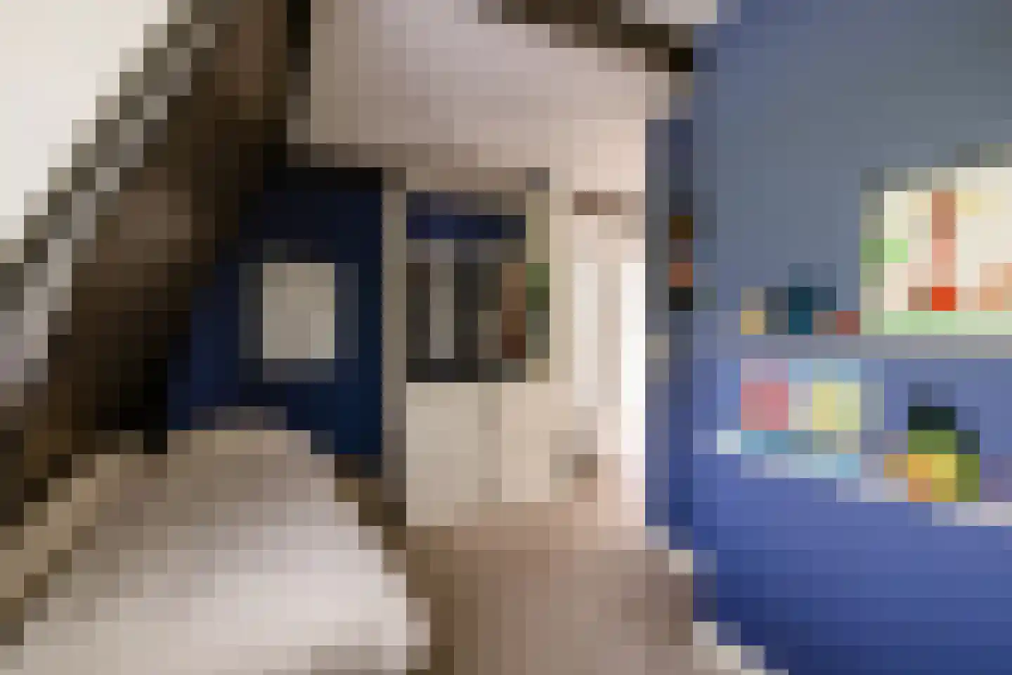 Wüstelaan 28 Santpoort-Zuid thumbnail 43