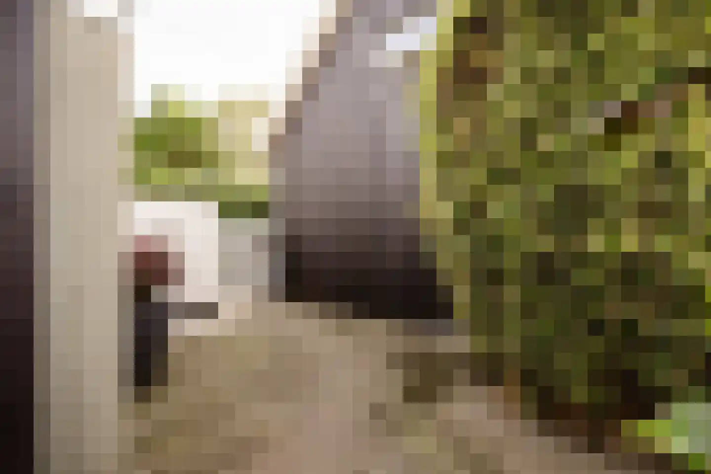 Wüstelaan 28 Santpoort-Zuid thumbnail 52