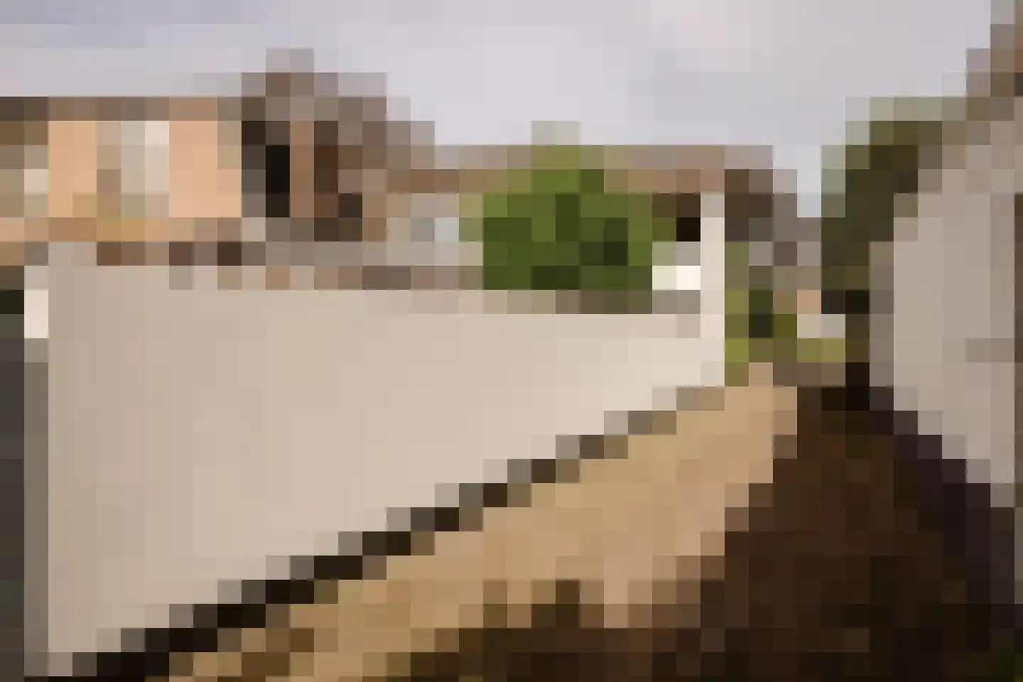 Wüstelaan 28 Santpoort-Zuid thumbnail 54