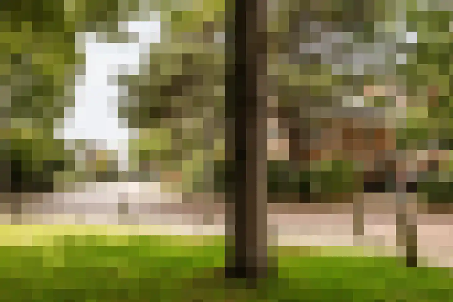 Wüstelaan 28 Santpoort-Zuid thumbnail 56