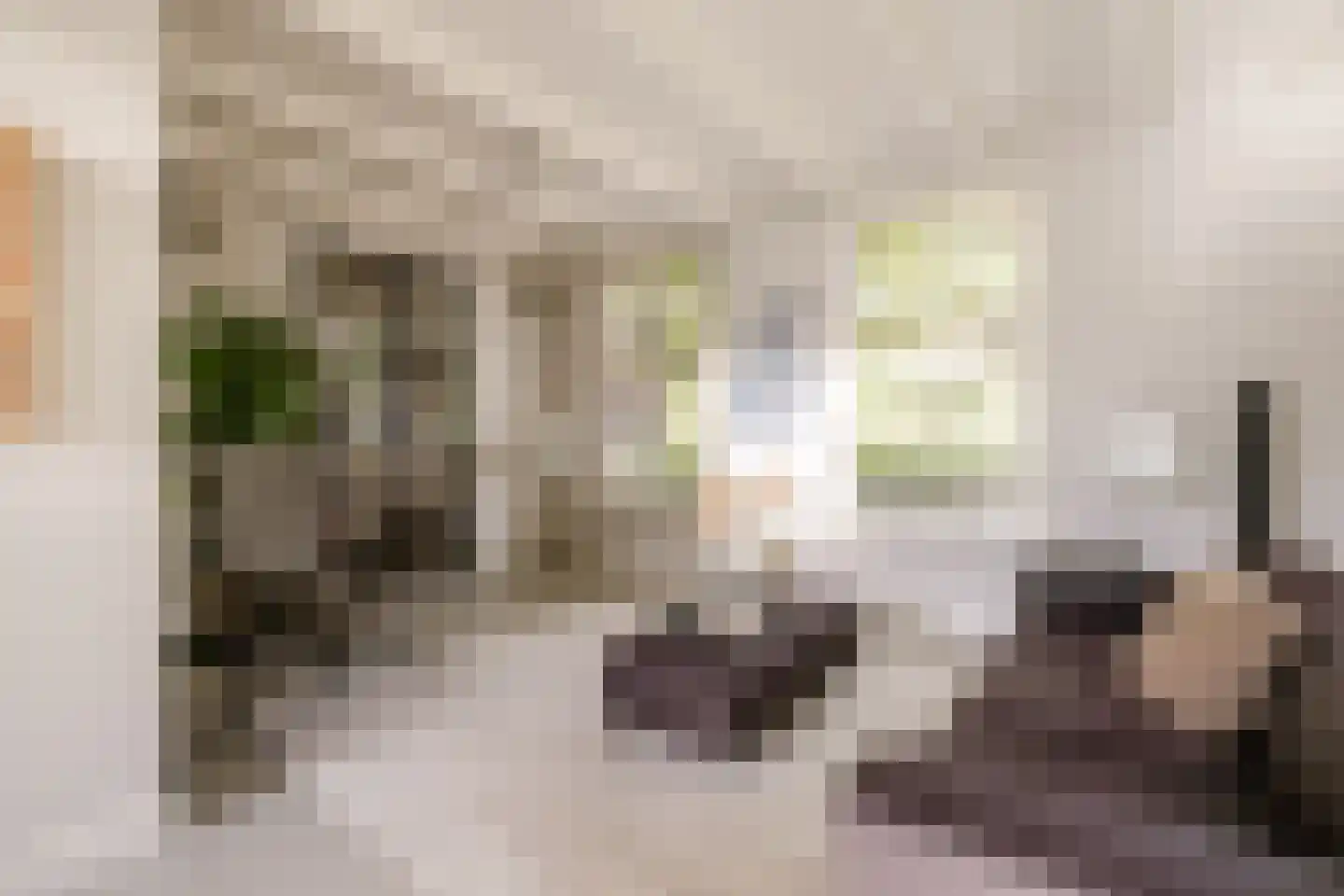 Wüstelaan 28 Santpoort-Zuid thumbnail 6