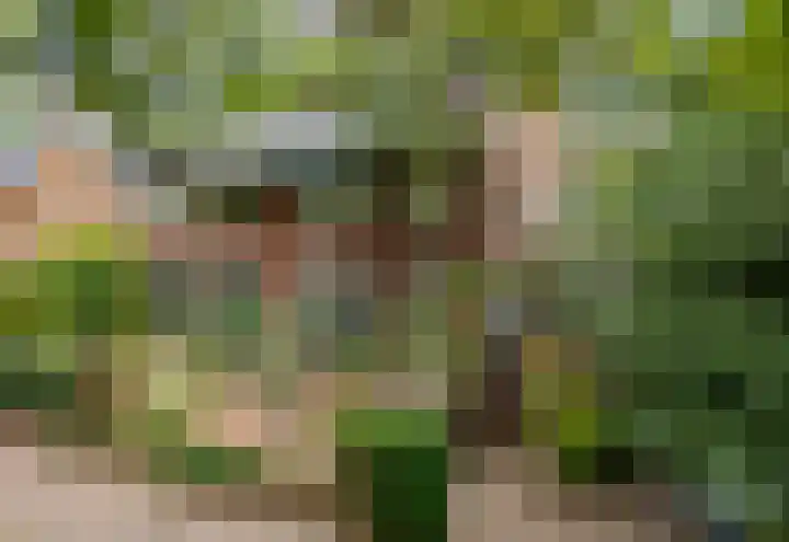 Wüstelaan 35 Santpoort-Zuid thumbnail 100