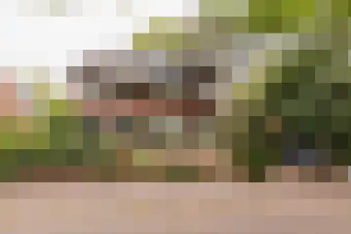 Wüstelaan 35 Santpoort-Zuid thumbnail 103
