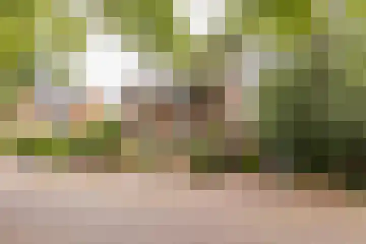 Wüstelaan 35 Santpoort-Zuid thumbnail 105